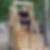 Profilbild von Moritz Vockel