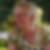 Profilbild von Ursula Jensen