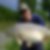 Profilbild von Nils Werner