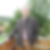 Profilbild von Frank Hartleib
