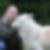 Profilbild von Horst Eltus