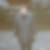 Profilbild von Bärbel Runge