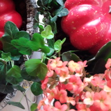 Profilfoto Nicole Krieger-Kull Profilfoto von Nicole Krieger-Kull