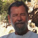 Profilfoto Martin Wiesner Profilfoto von Martin Wiesner