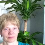 Profilfoto von Cornelia Blut