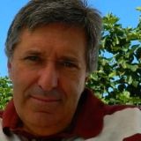 Profilfoto von Rui Manuel Ferreira