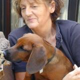 Profilfoto von Renate Irsiegler