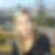Profilbild von Claudia Reuel