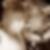 Profilbild von William Benigno