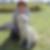 Profilbild von Doreen Eichholz