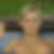 Profilbild von Werner Sommer