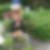 Profilbild von Alfred Seyfried