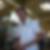 Profilbild von Joerg Loth