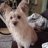 Profilfoto von Andrea Meyer