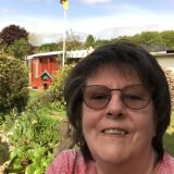 Profilfoto Sybille Barnekow Profilfoto von Sybille Barnekow