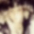 Profilbild von Nicole Halm