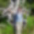 Profilbild von Elke Gonschorek