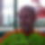Profilbild von Heiko Flache