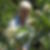 Profilbild von Christel Grosser