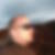 Profilbild von Patric Contier