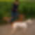 Profilbild von Heike Schwengers