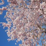 Profilfoto Stefanie Neumeister Profilfoto von Stefanie Neumeister