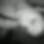 Profilbild von Nicole Blei