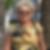 Profilbild von Ursula Leimer