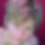 Profilbild von Kerstin Bremer
