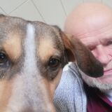 Profilfoto von Wolfgang Veits