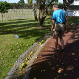 Profilfoto von Inge Müller