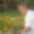 Profilbild von Tobias Wege
