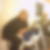 Profilbild von Martin Behse
