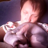 Profilfoto Barbara Webster Profilfoto von Barbara Webster