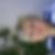 Profilbild von Carmen Wagner