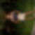 Profilbild von Nadine Olof