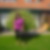 Profilbild von Renate Leube