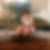 Profilbild von Beedee Angela Florea