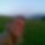 Profilbild von Doris Fries