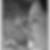 Profilbild von Ines Johannsen