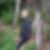 Profilbild von Nicole Mischor