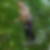 Profilbild von Pitt Siering
