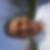 Profilbild von Rainer Brinkmann