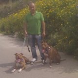 Profilfoto von Salvatore Stallone, 'angelo