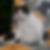 Profilbild von Louise Friebe