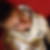 Profilbild von Thomas Kenter