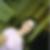 Profilbild von Sevinur Cesur