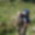 Profilbild von Andreas Loos
