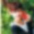 Profilbild von Kathi Raatz