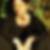 Profilbild von Meike Fabian